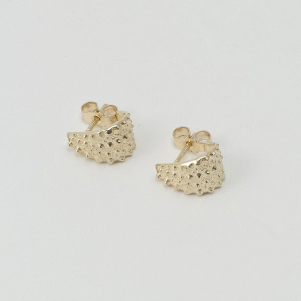 Sea Urchin Gold Wrap Stud Earrings