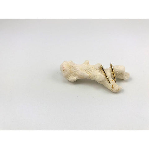 Sea Urchin Gold-Plated Spine Stud Earrings - Small