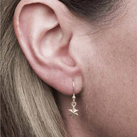 Star Sterling Silver & Gold Plated Drop Earrings