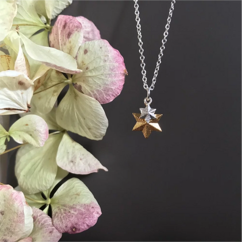 Star Sterling Silver & Gold-Plated Double Necklace